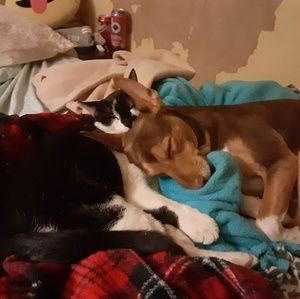 Meet your Posher, Parker